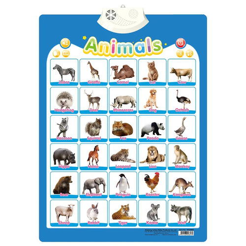 Electronic English Alphabet Wall Chart Talking ABC Letters 123s Music